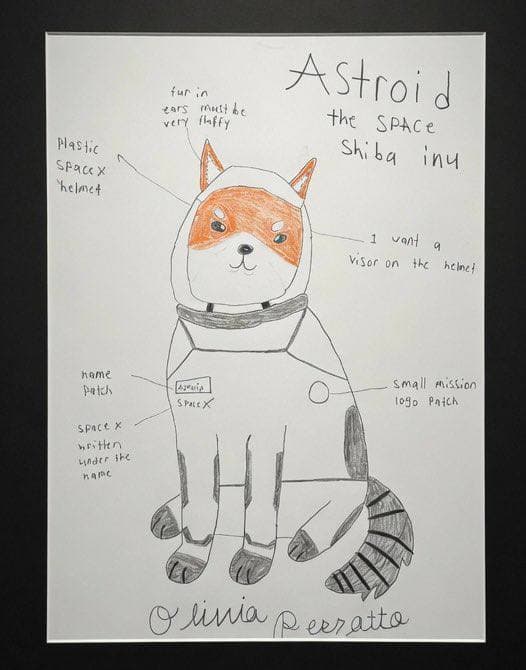 Astroid the Space Shiba Inu, original drawing by Liv